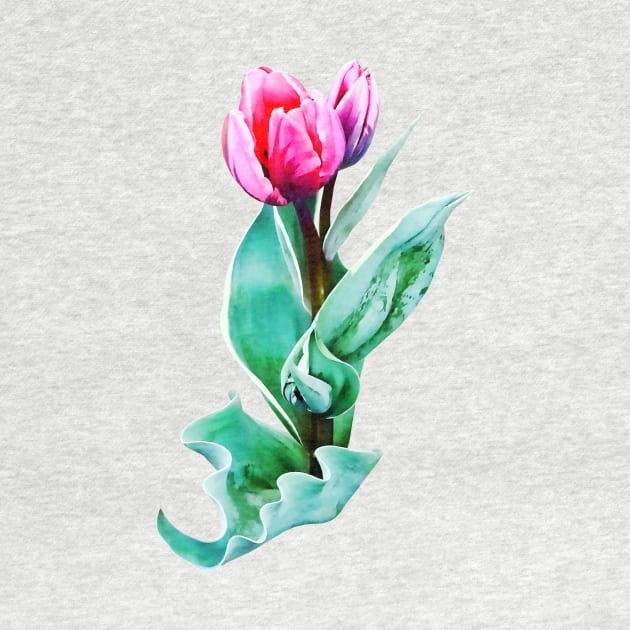 Shy Little Tulip by SusanSavad